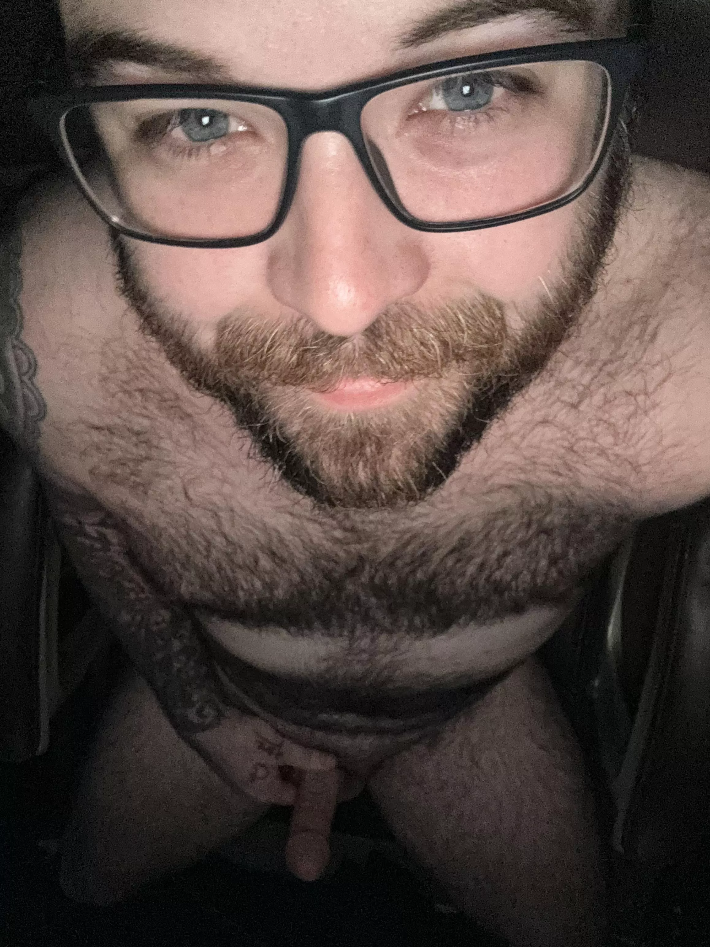 Honk if you’d ride me? [31]