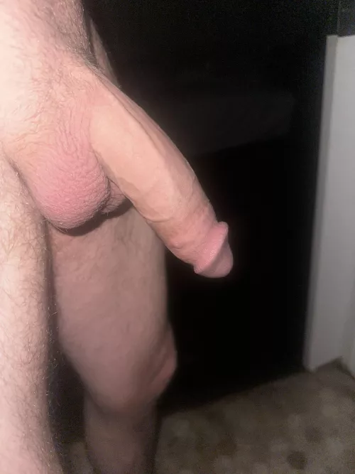 I suck at taking pics