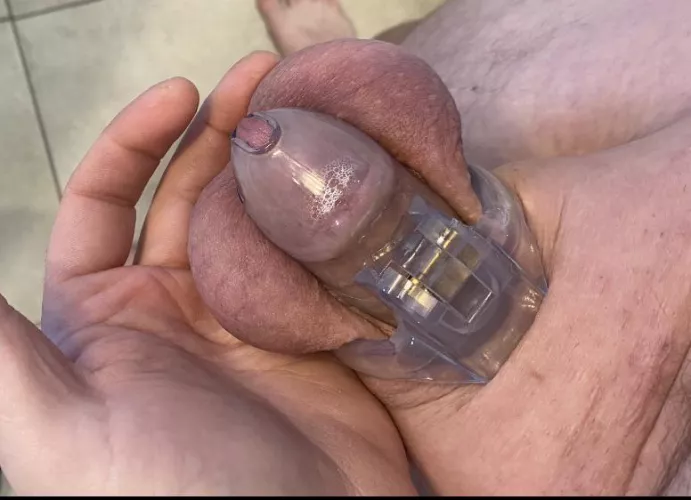 It’s time to relock. I haven’t wore it in a few months but wife doesn’t need my dick…I’m here for the reassurance and humility.