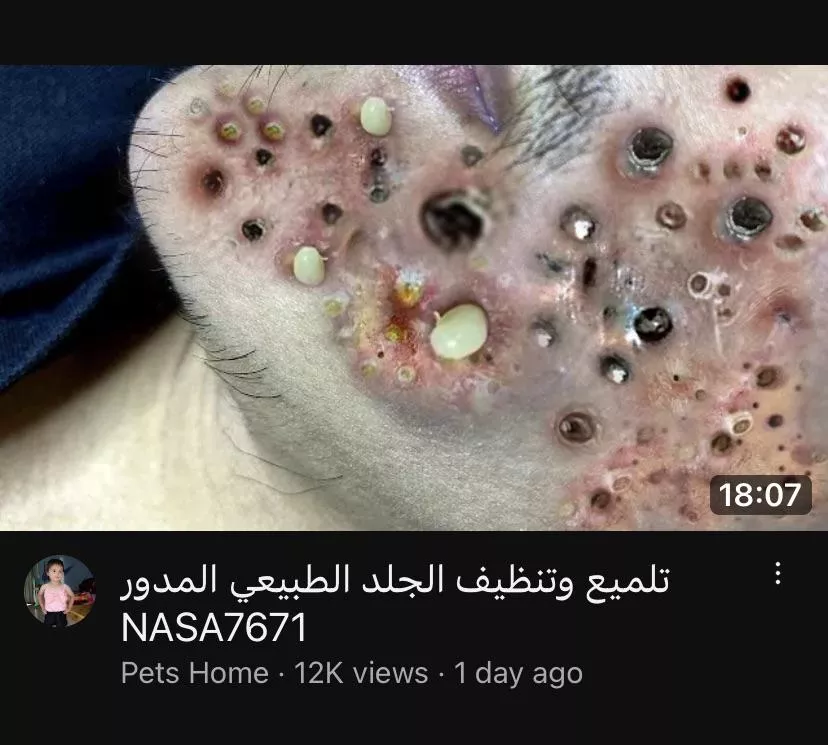 Literally loled when I saw this video thumbnail. Wtf