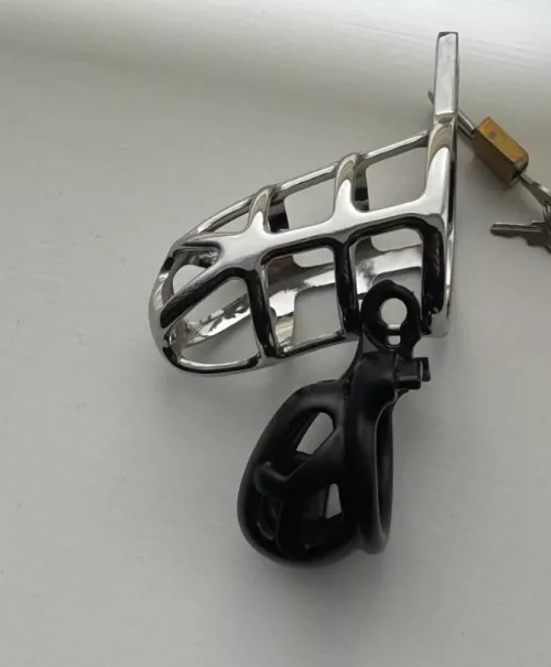 Miss is very pleased with herself