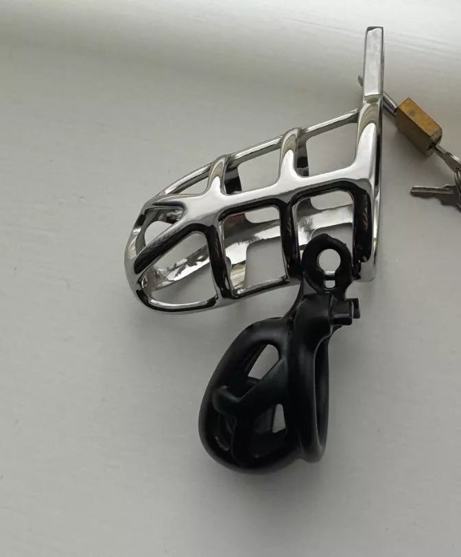 Miss is very pleased with herself