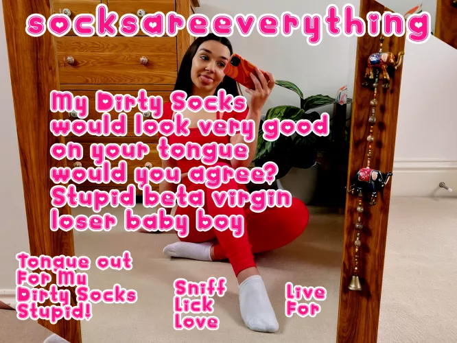 My dirty socks would look very good on your tongue stupid beta vigin loser would you agree baby boy?