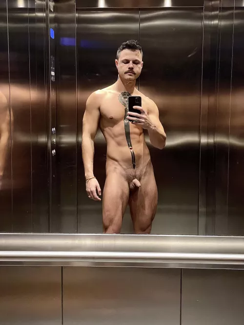 Shaky elevator quickie