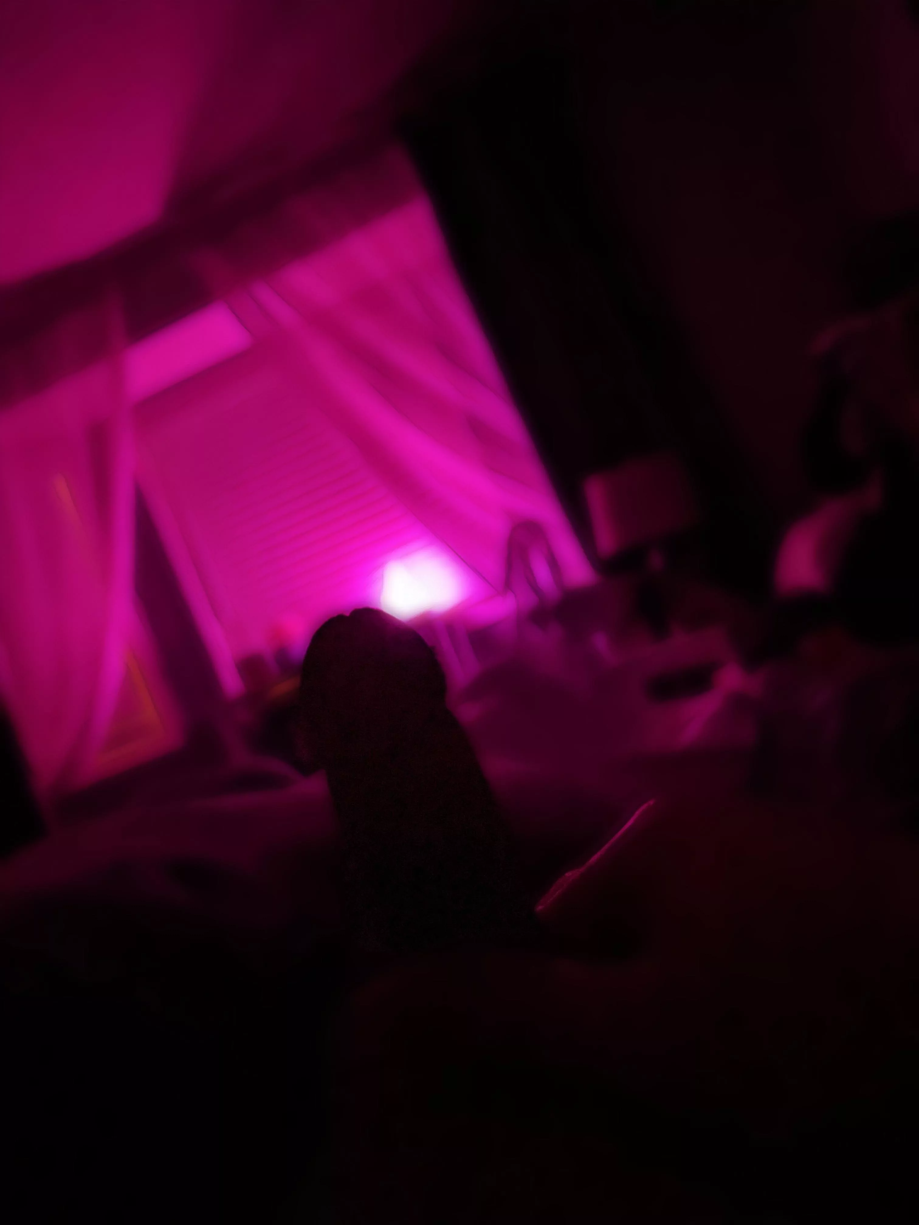 Some morning silhouettes 