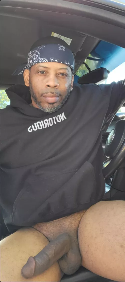 Want to go for a ride?