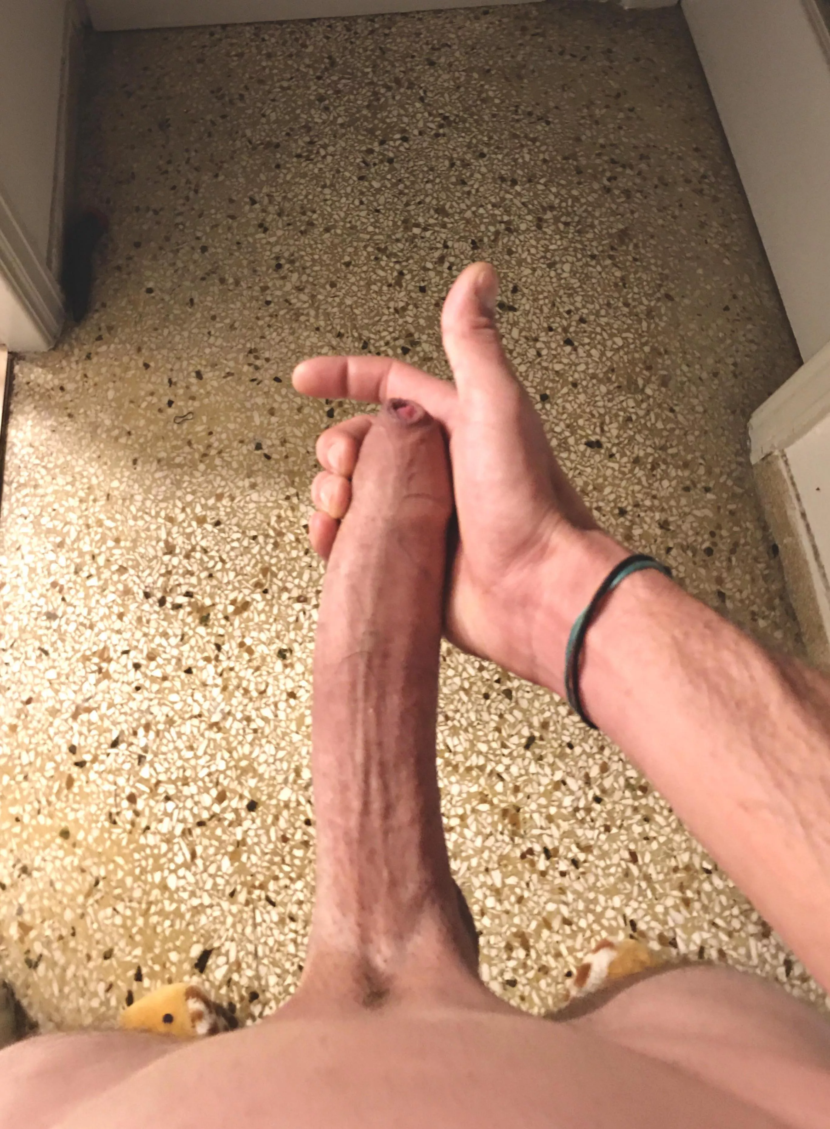 🐷 1.5k likes in 1 day. y’all crazy🐷