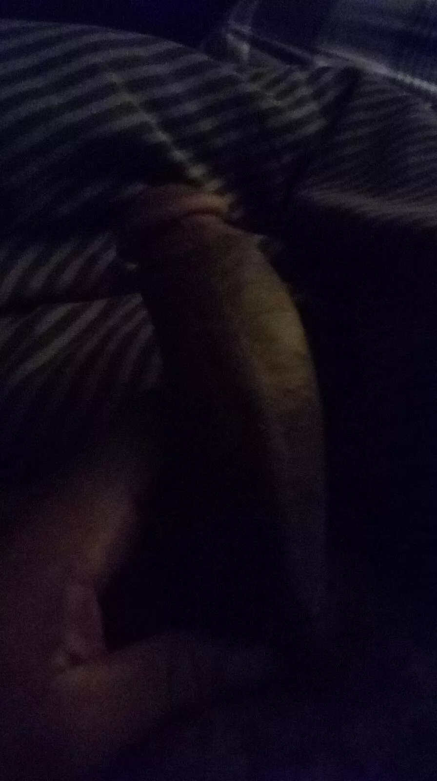 18m cock from FL dm if your here