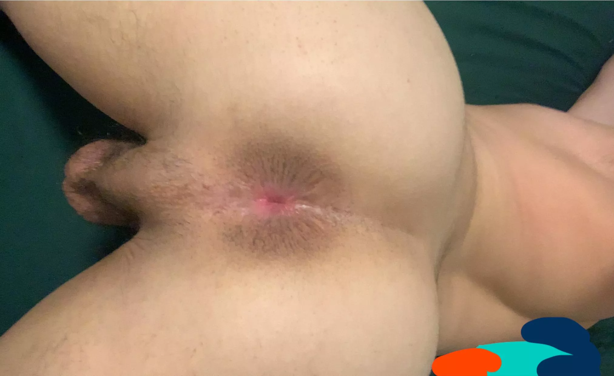 19 arab fag. Any straight white conservative men wanna use my fag ass or cock? maga+ fit only. @sn_n123