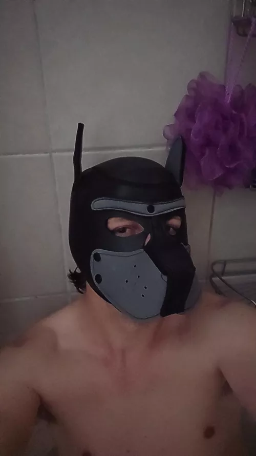 27 looking for a handler 21-30 on sc. Coleandnoah7