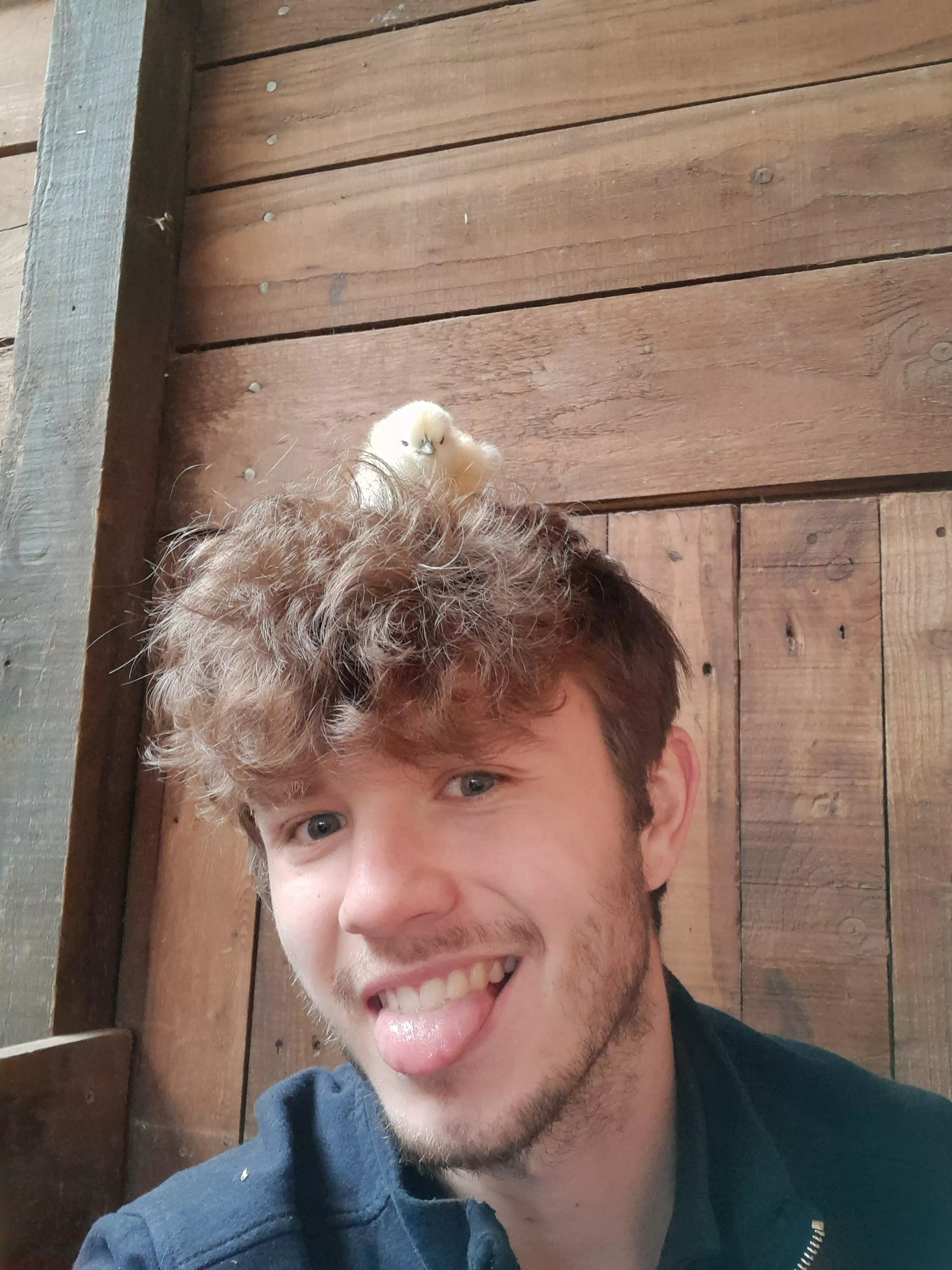 2nd favourite time of the year 🥹 First batch of chicks!  2nd favourite time of the year 🥹 First batch of chicks!