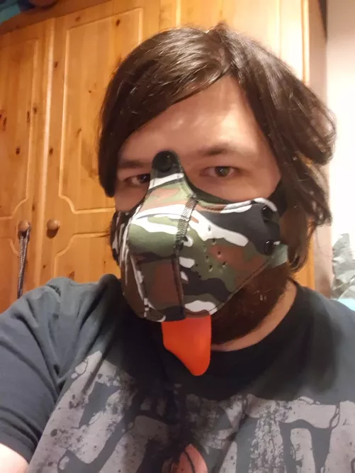 Back with a new pup muzzle 