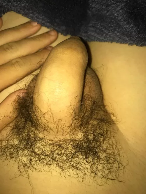 Can you guys rate my dick