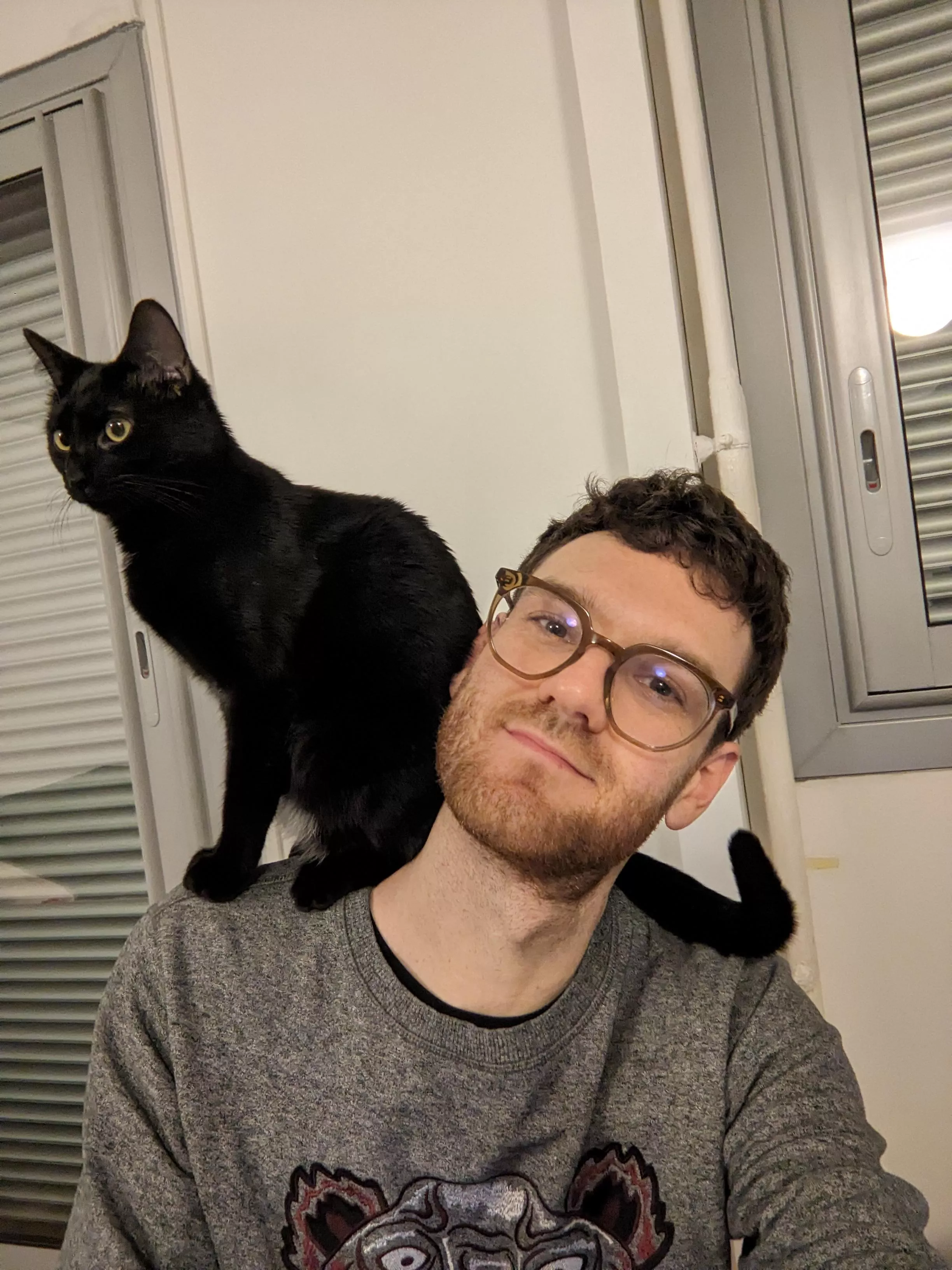 Come say hi to Bibi 😸