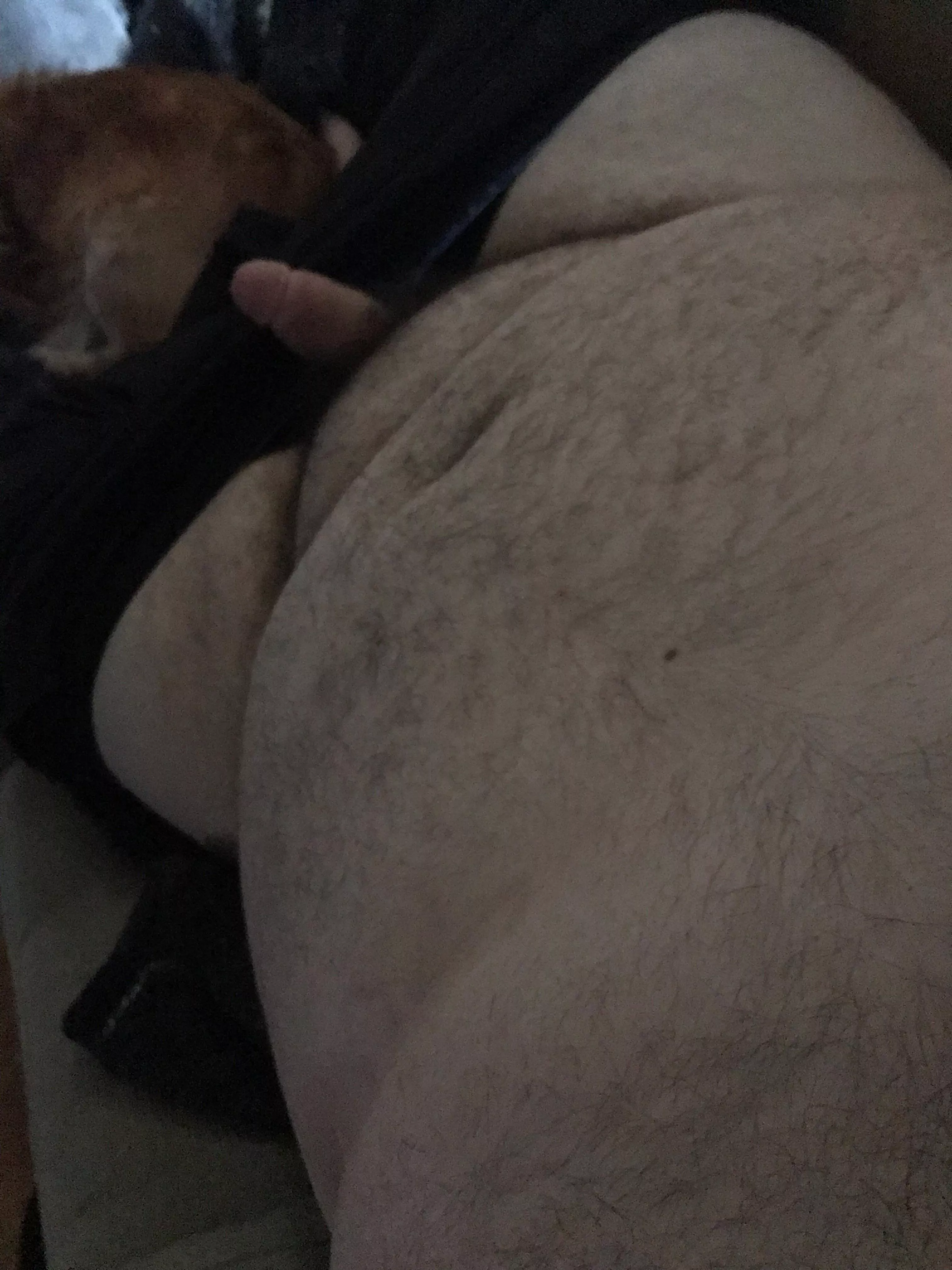 Cub looking to stroke dm me