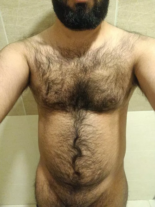 Do you like hairy chubby guys? 😉