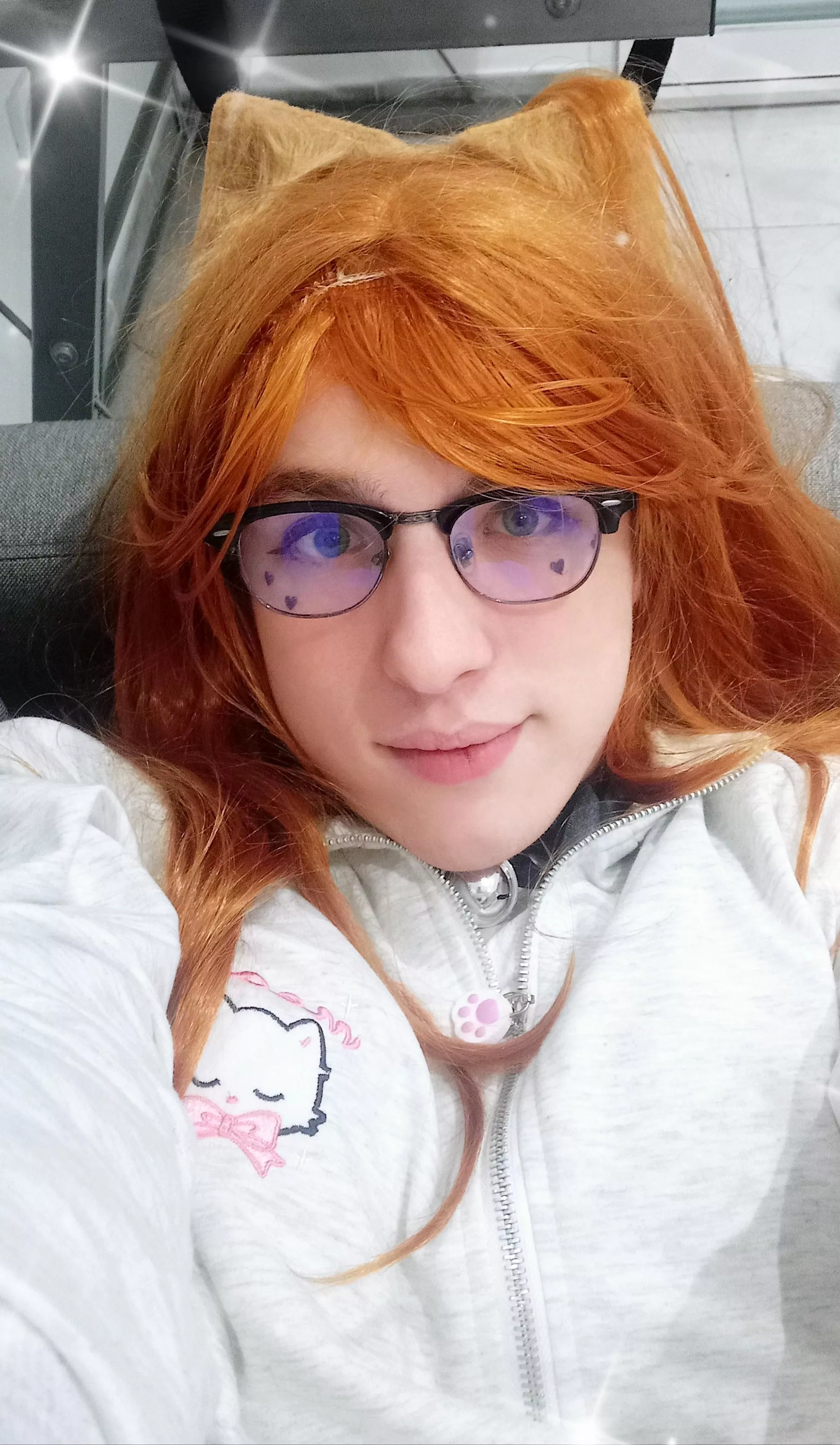 Fox in cat jacket 🦊🐱