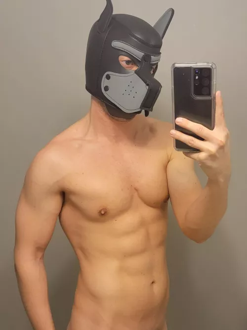 Gym progress is paying off for this pup!