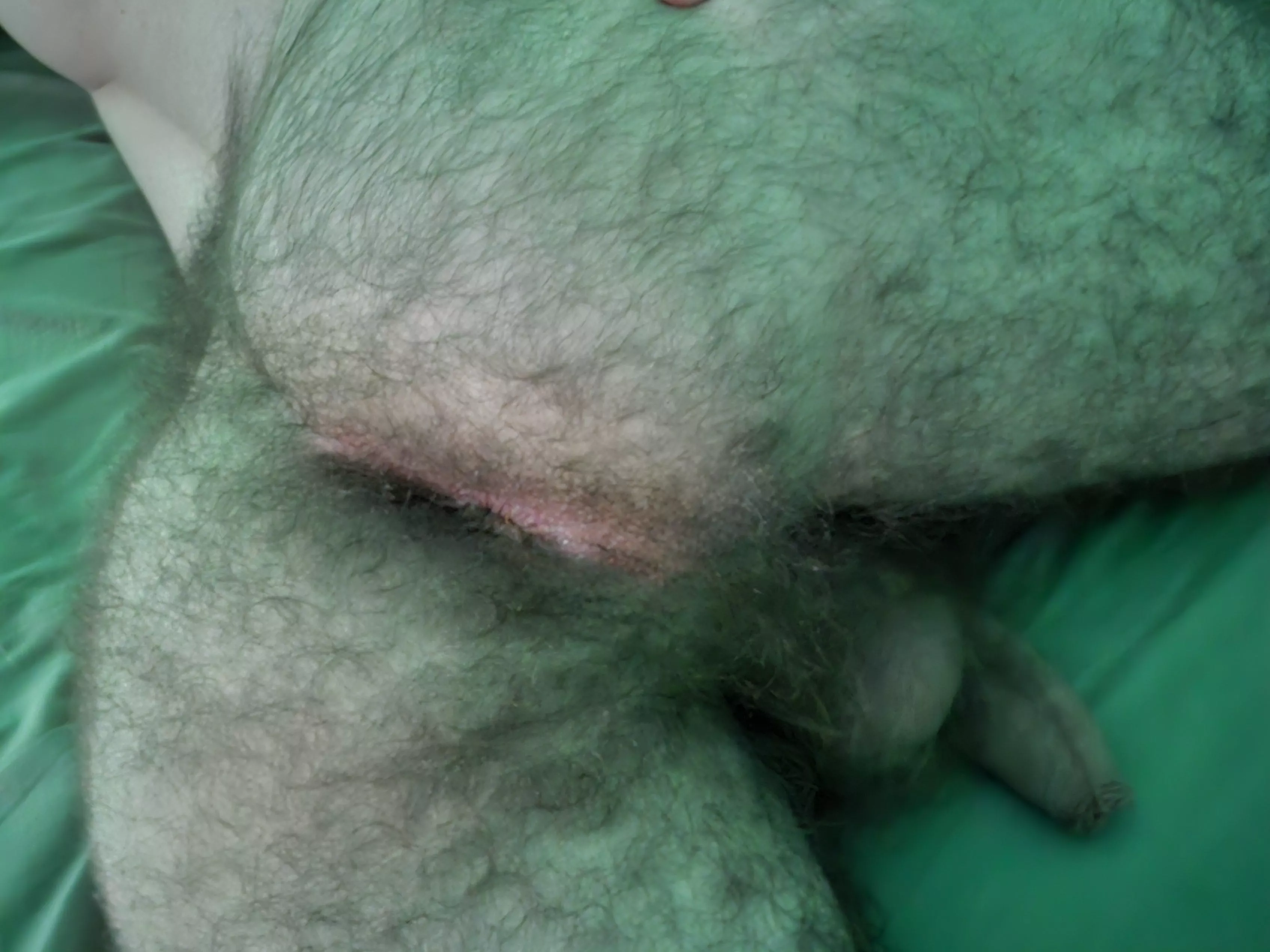 Hairy ass and uncut cock 