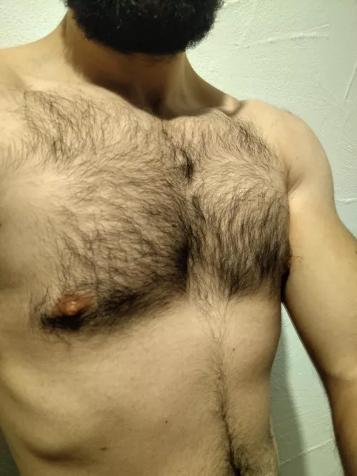 Hairy chest 