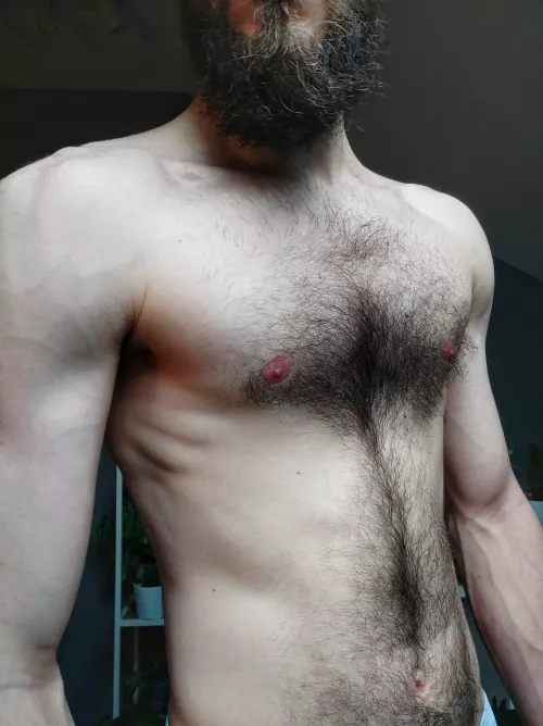 Hairy chest is masculine. Prove me wrong (25)