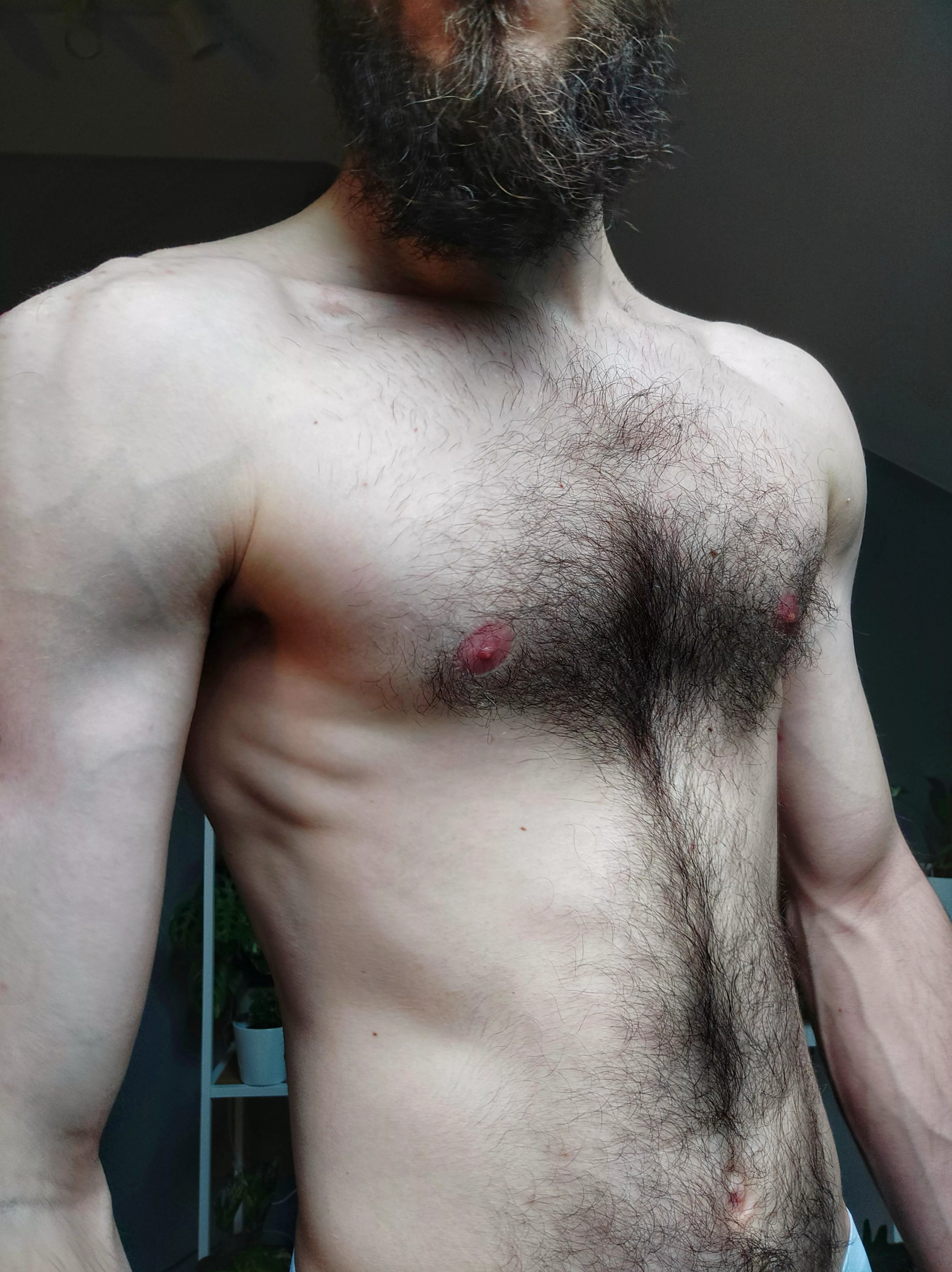 Hairy chest is masculine. Prove me wrong (25)