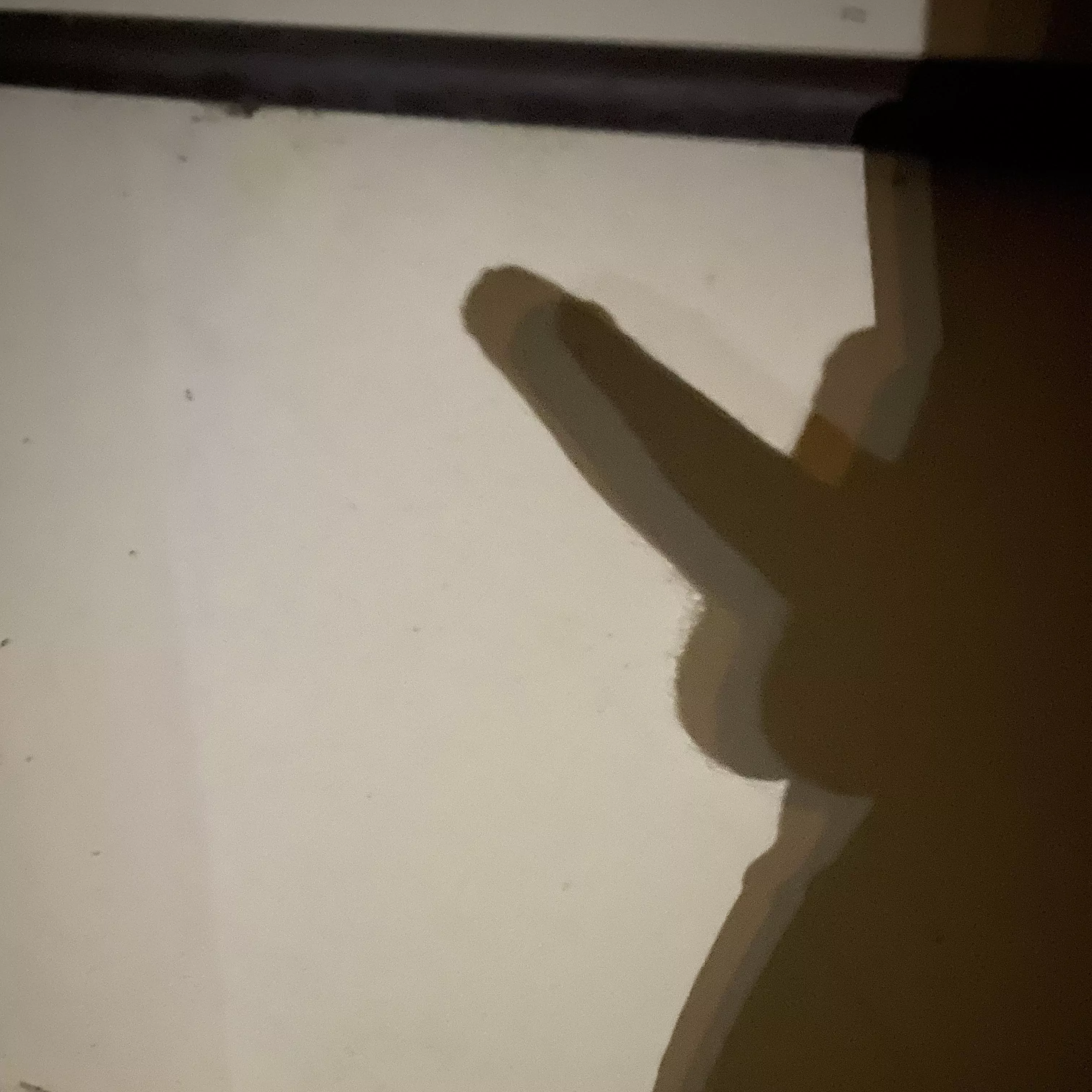 Just enjoying a nice walk