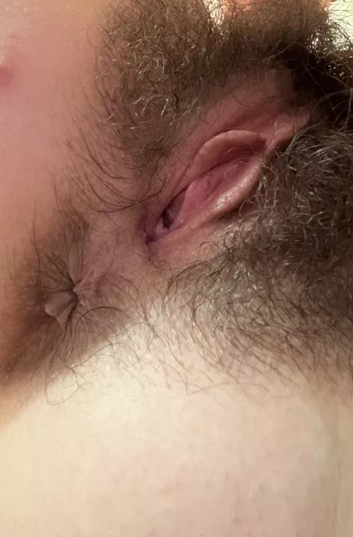Lick my [h] holes 