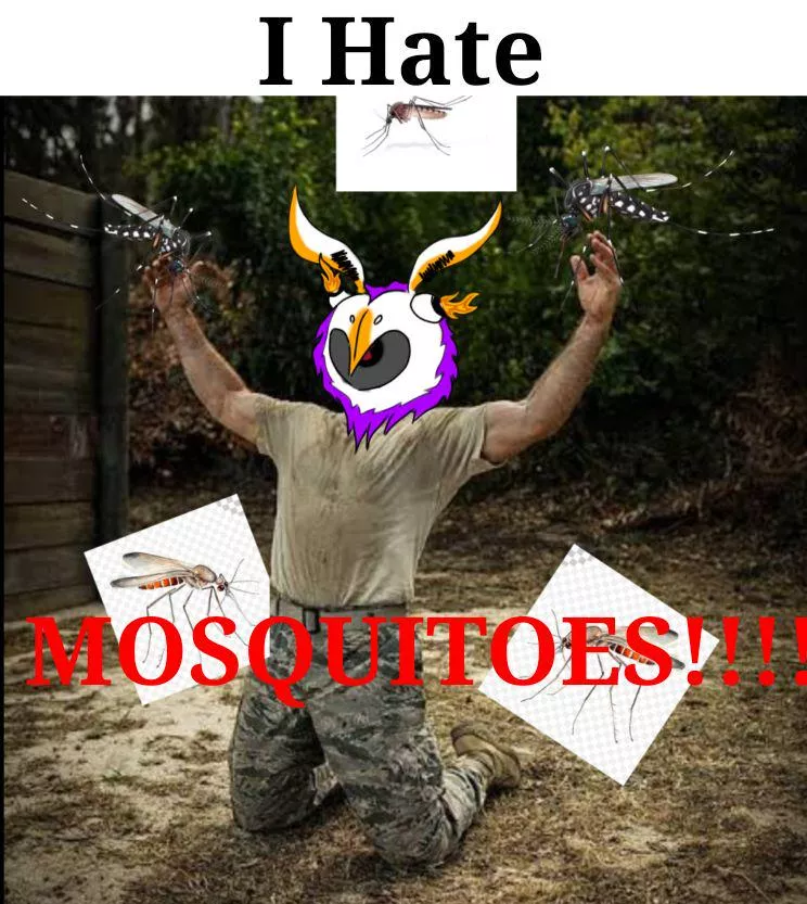 Living in a tropical country be like: