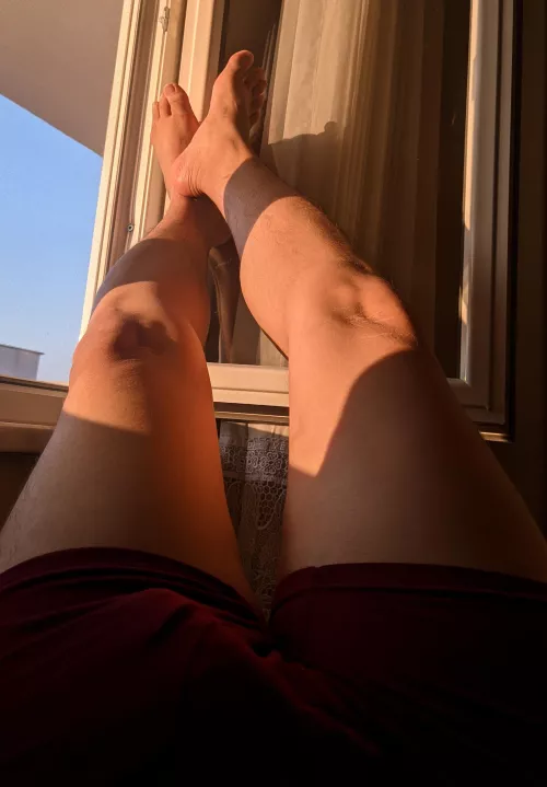 Love the morning light