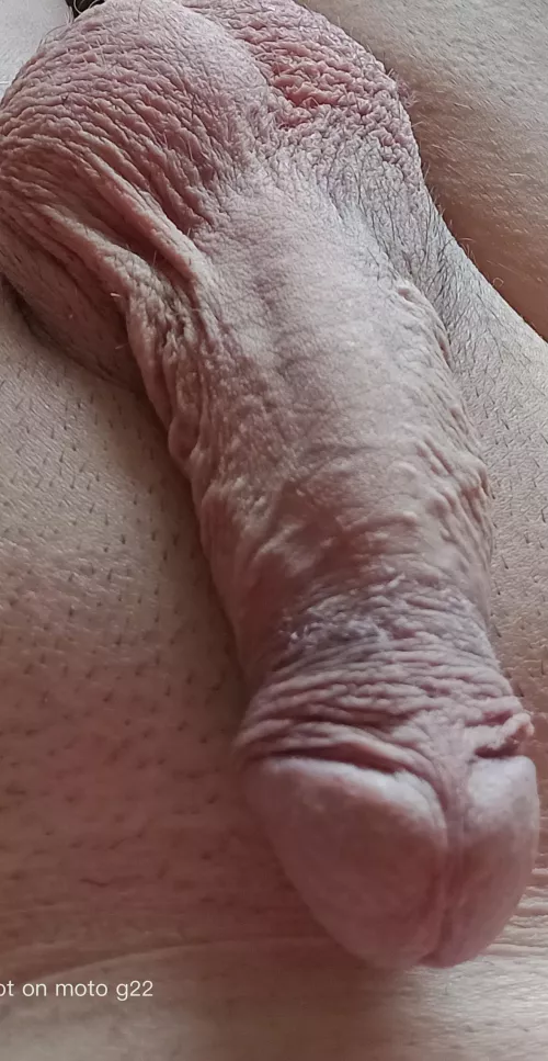 (M) DESPERATE FOR A BLOW JOB.