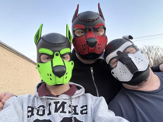 Made some new friends while out and about! 🐾