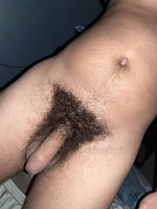 My dick, do you like it?