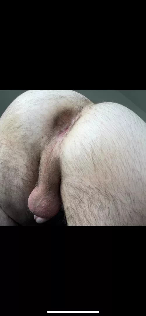 My Hairy Ass
