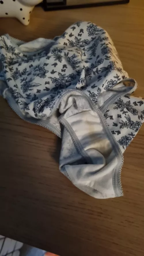 My wife's panties 37