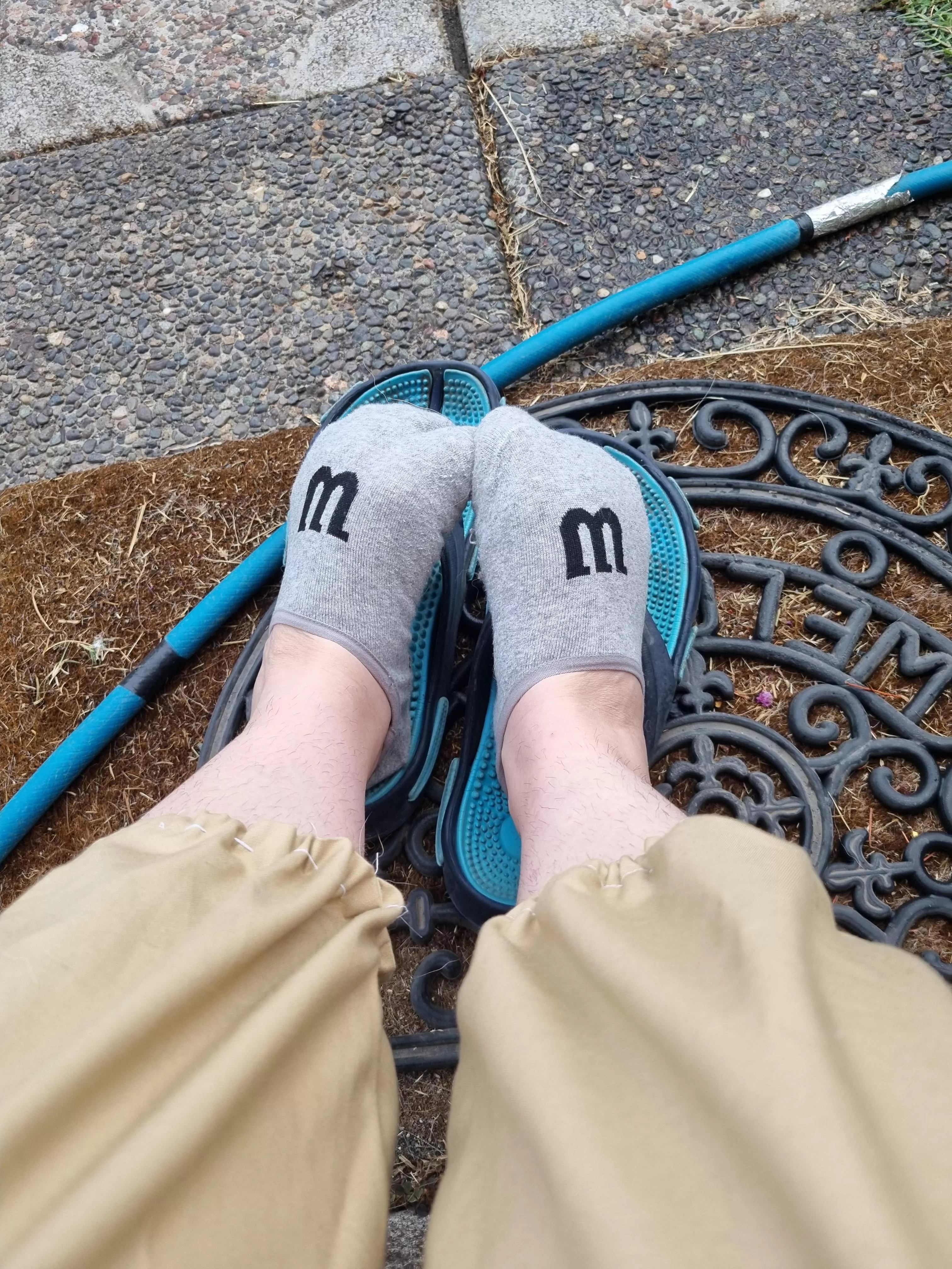 New day new sock you want to sniff