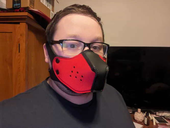 New muzzle, New me!