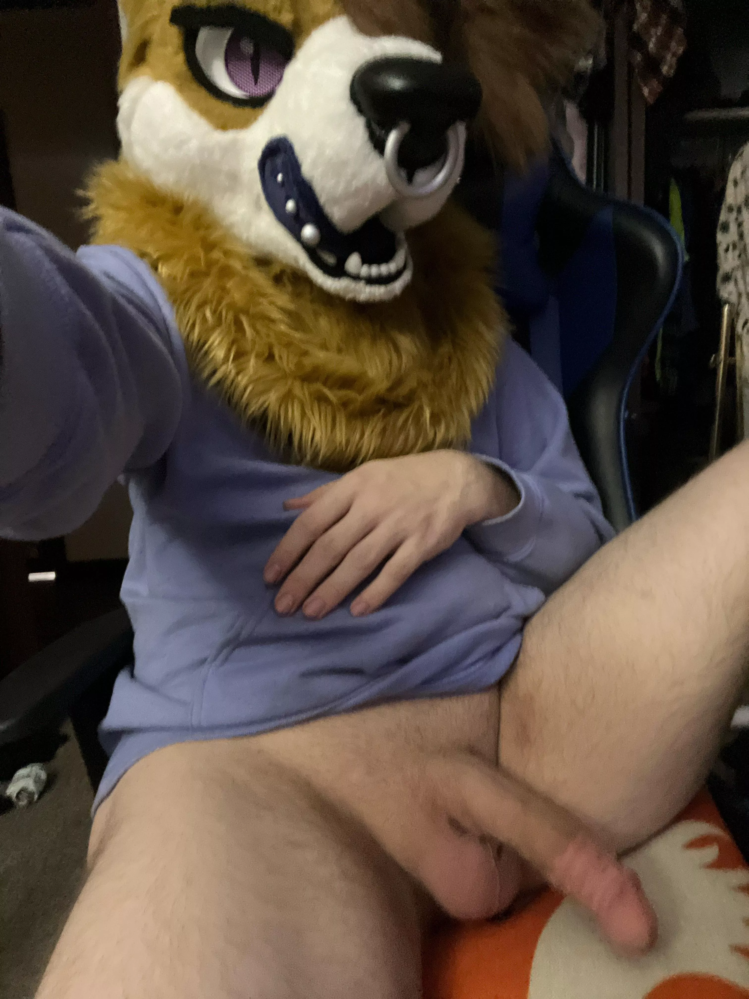 Sleep over with your favorite fox? [Non-binary]