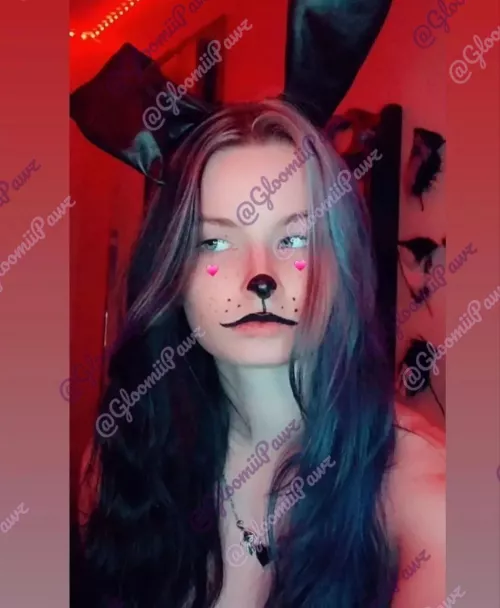 The real bad bunny XD