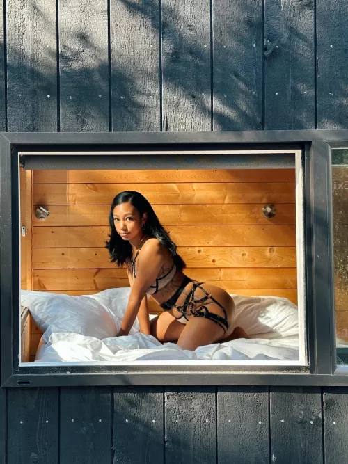 Wyd if you were my neighbor