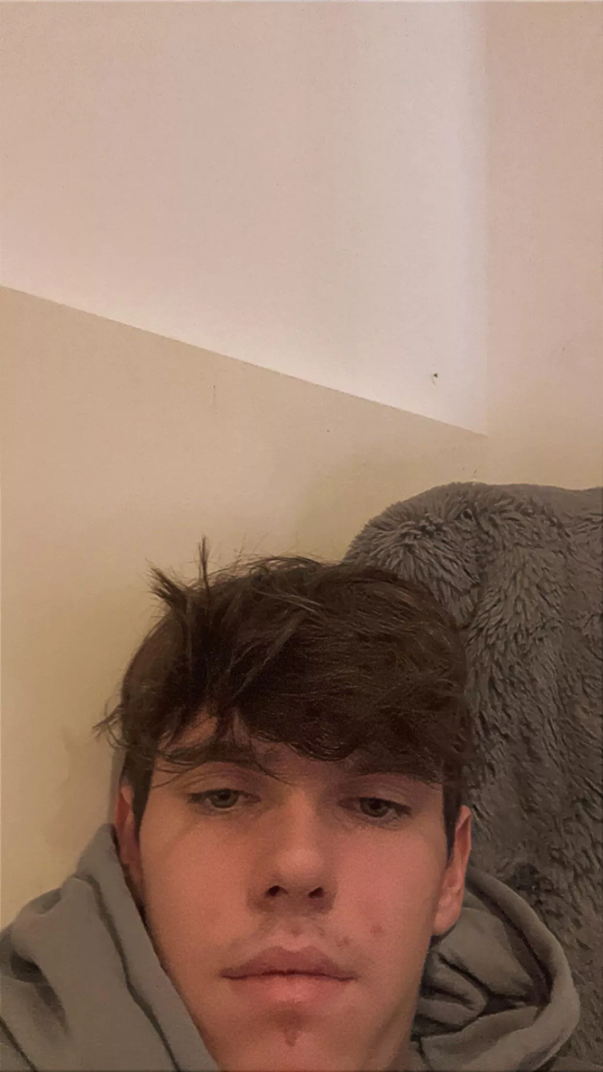 18 @harveytb05 VERBAL DOMS HMU. FACE A MUST 18 @harveytb05 VERBAL DOMS HMU. FACE A MUST