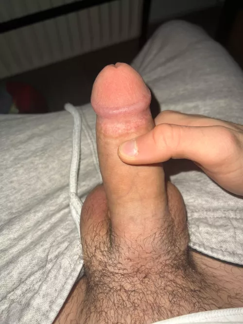 [18]who wants to see it hard 