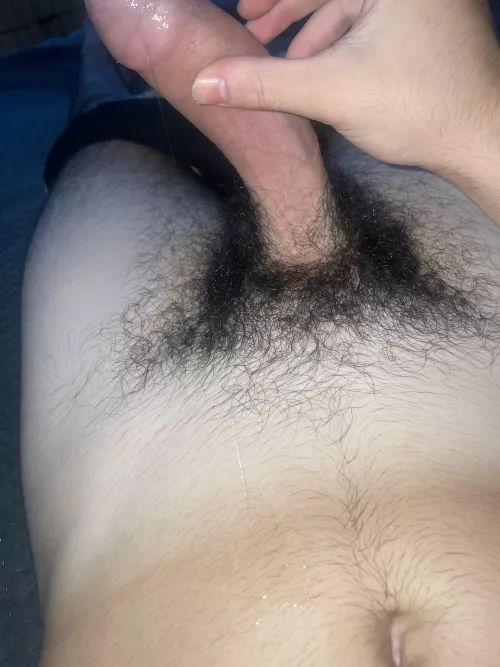 19m horny and looking for a very Hairy Guy with heaps of body hair Add Pickle9918