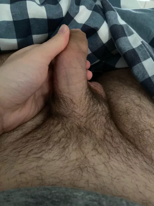 21 Dutch boy sc: tommie_boy24