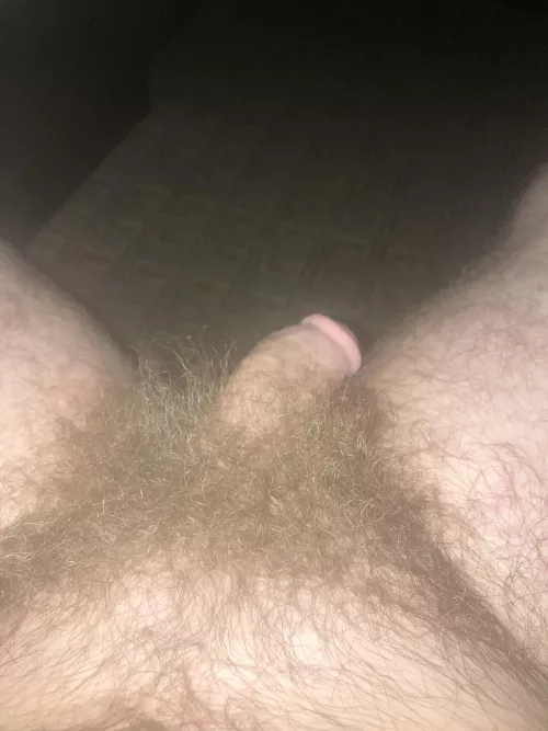 A little over a year no shave or trim