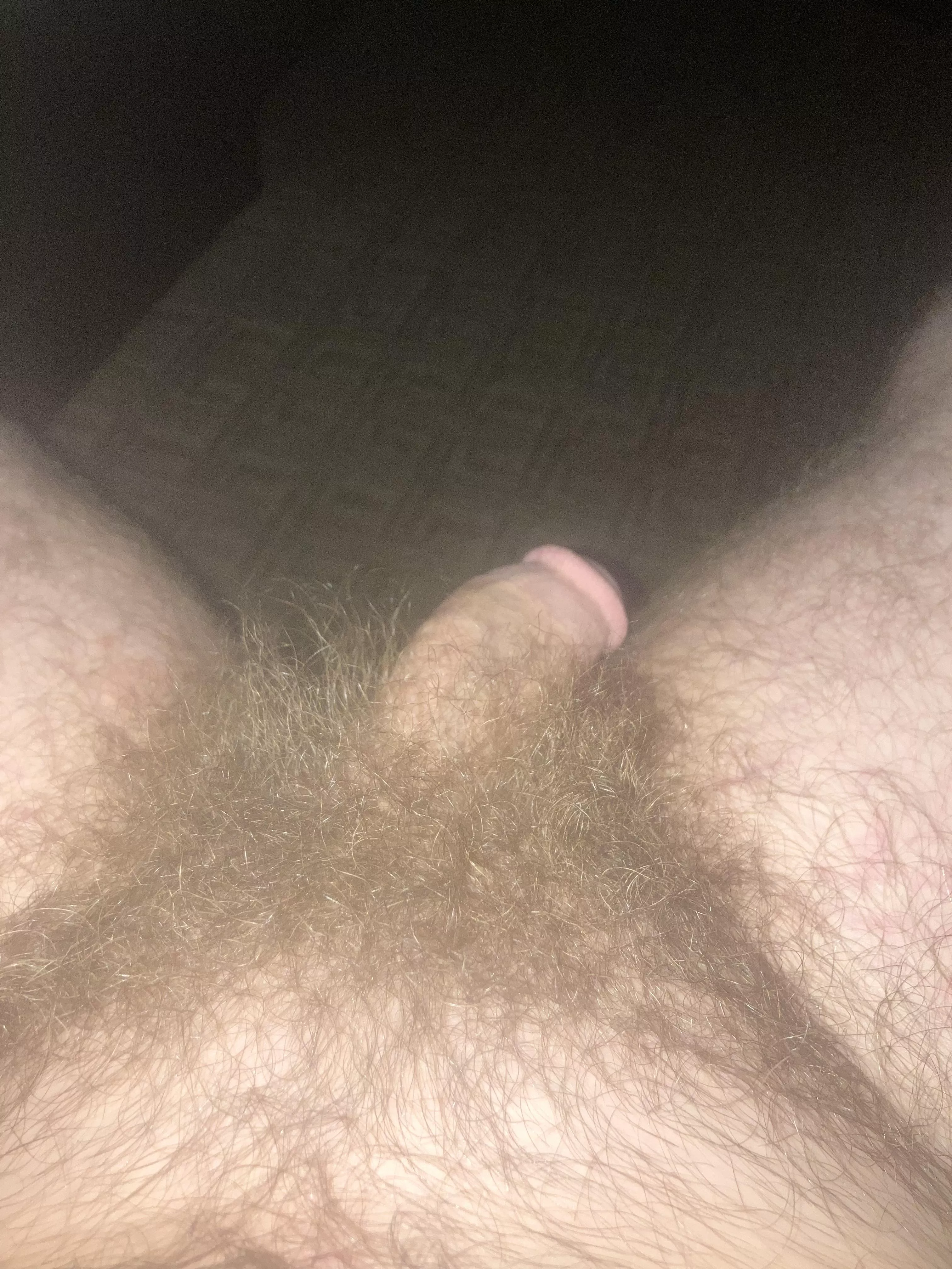 A little over a year no shave or trim