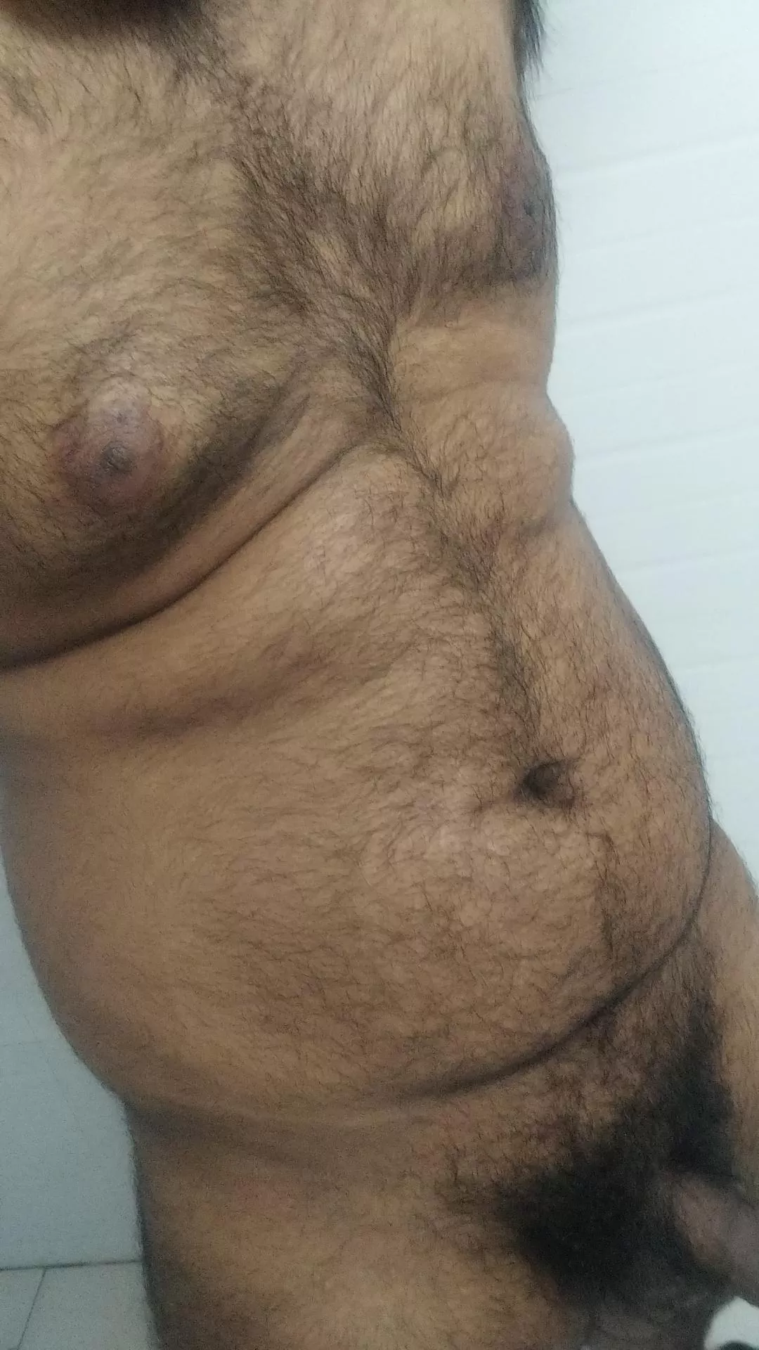 Any love here for indian bear? 