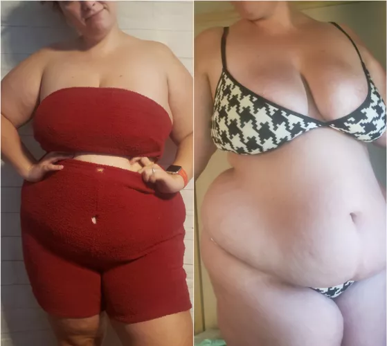 BBW vs SSBBW