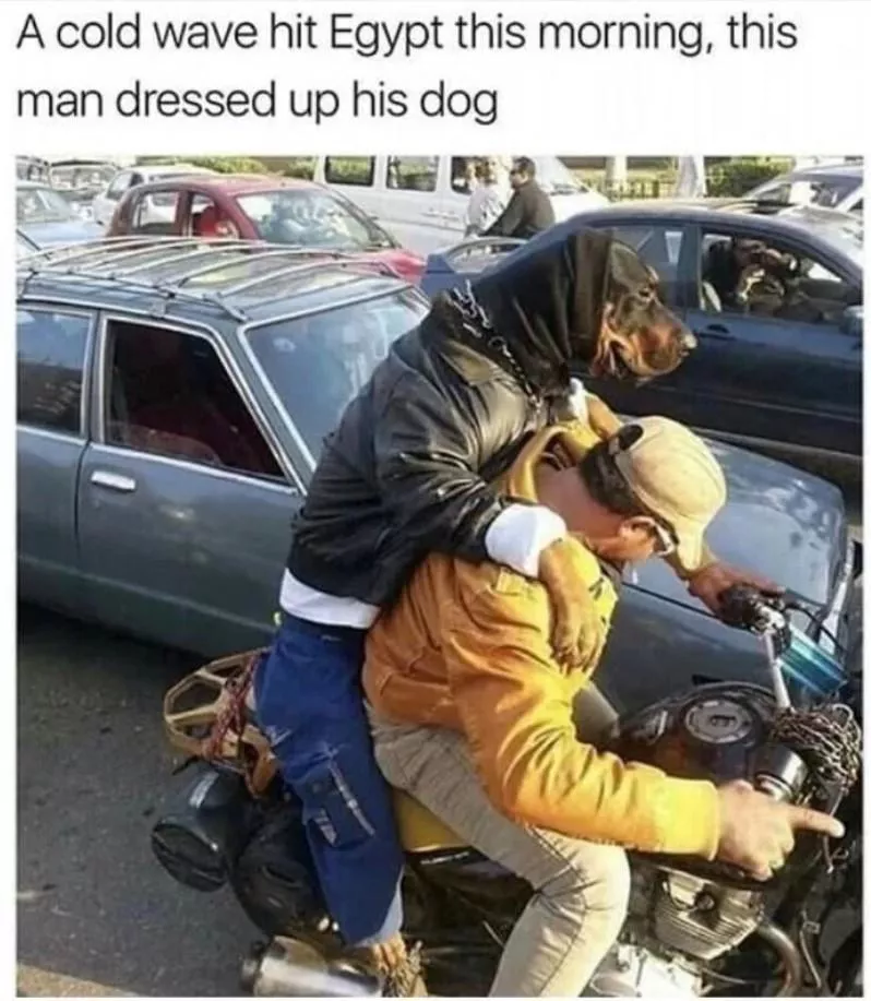 Egyptians are all furries, it’s a fact