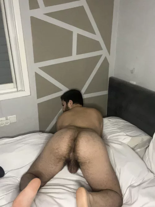 Hairy ass lovers?